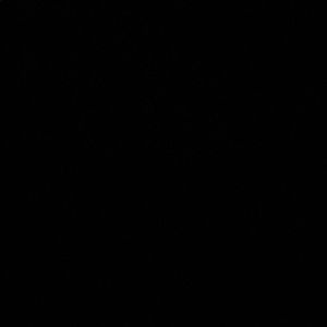 Meet your Posher, Riley